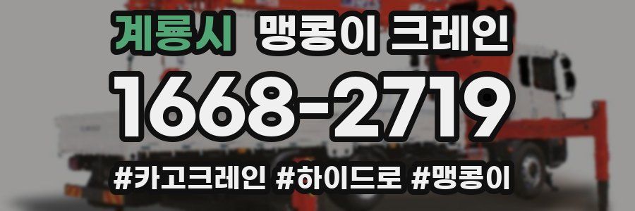 계룡시 맹콩이 크레인