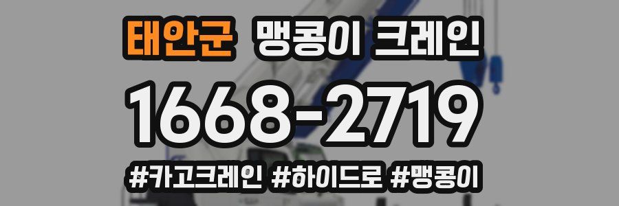 태안군 맹콩이 크레인