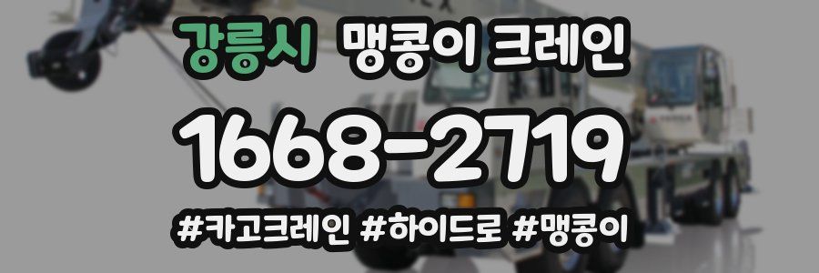 강릉시 맹콩이 크레인