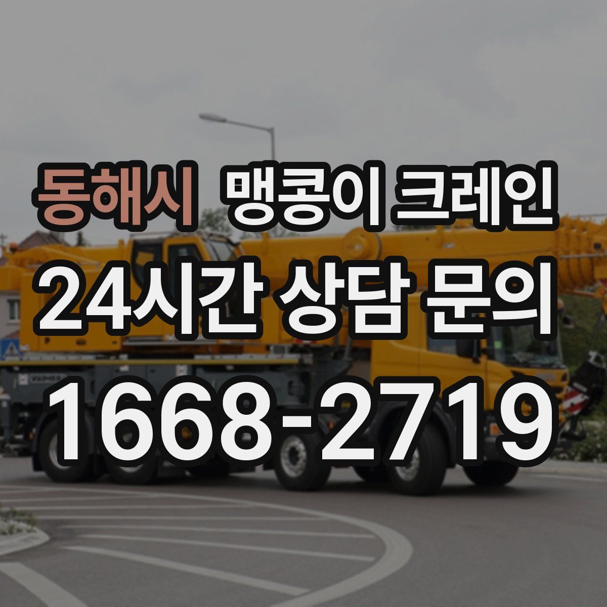 동해시 맹콩이 크레인