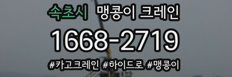 속초시 맹콩이 크레인