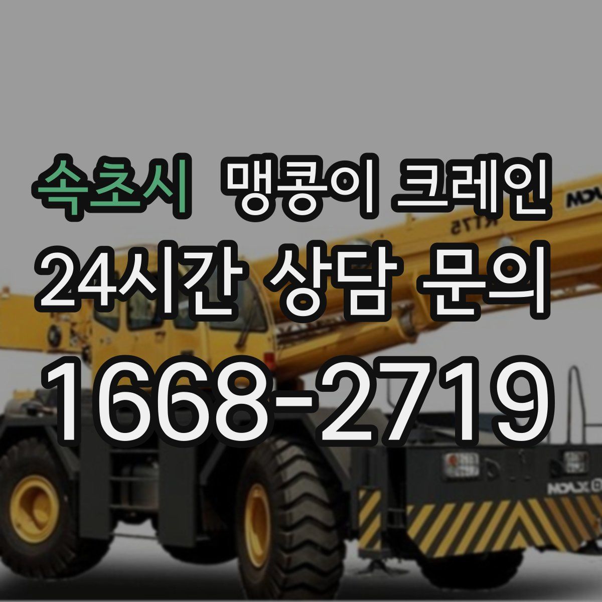 속초시 맹콩이 크레인