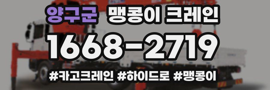 양구군 맹콩이 크레인