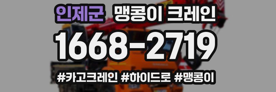 인제군 맹콩이 크레인