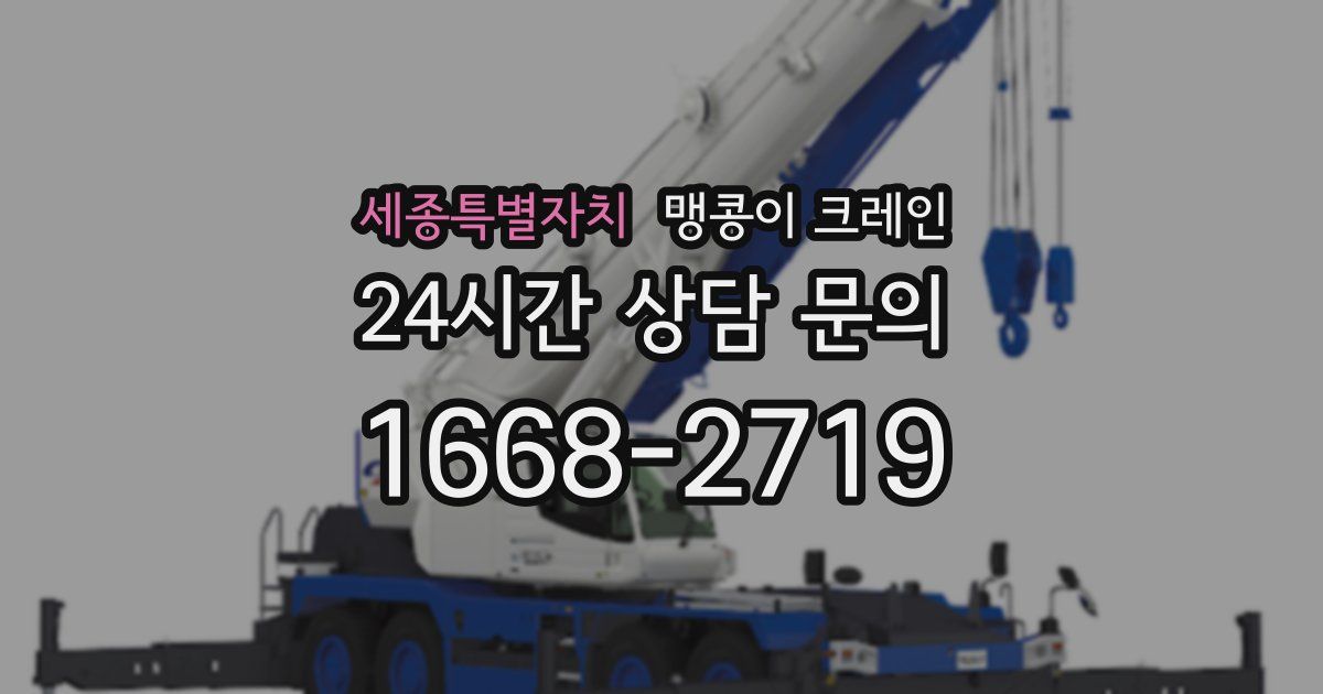 세종특별자치 맹콩이 크레인