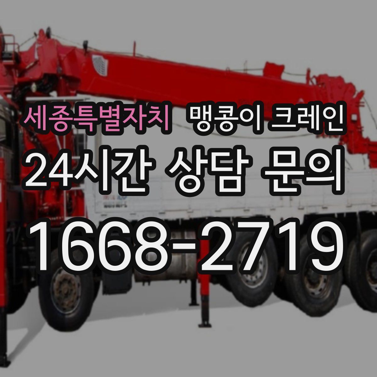 세종특별자치 맹콩이 크레인