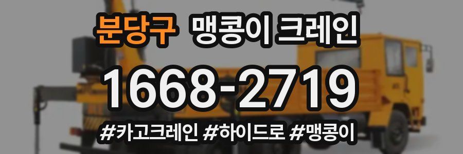 분당구 맹콩이 크레인