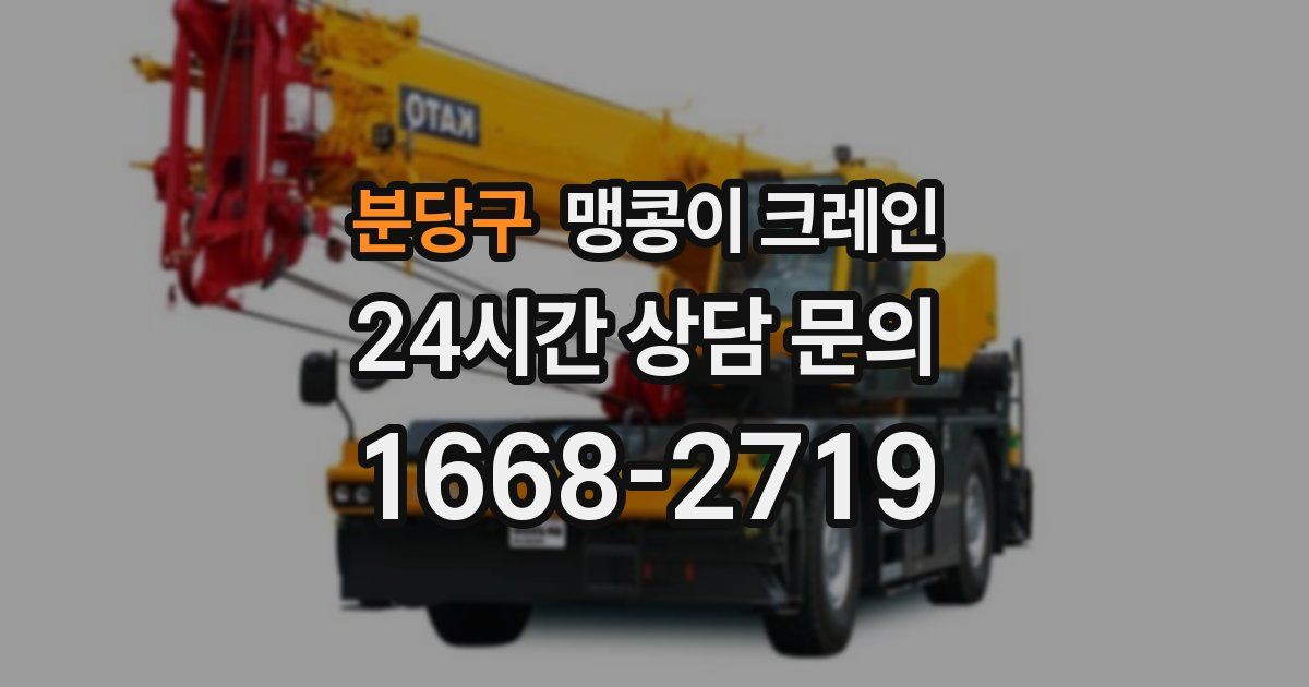 분당구 맹콩이 크레인