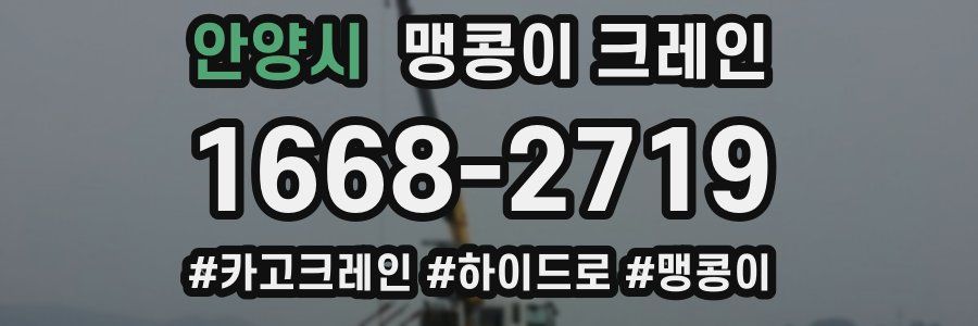 안양시 맹콩이 크레인
