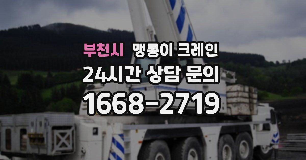 부천시 맹콩이 크레인