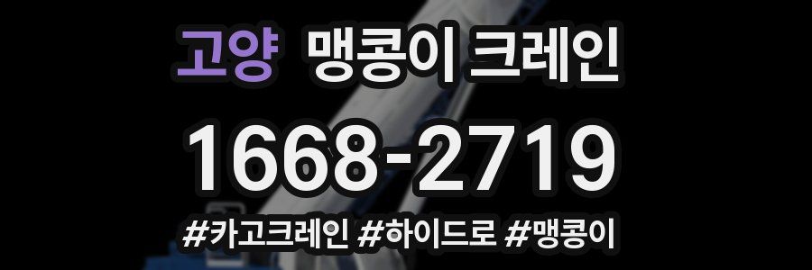 고양 맹콩이 크레인
