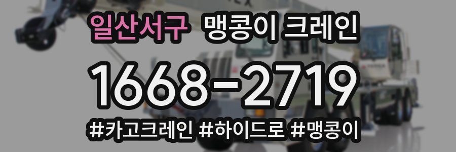 일산서구 맹콩이 크레인