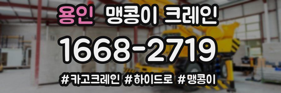 용인 맹콩이 크레인