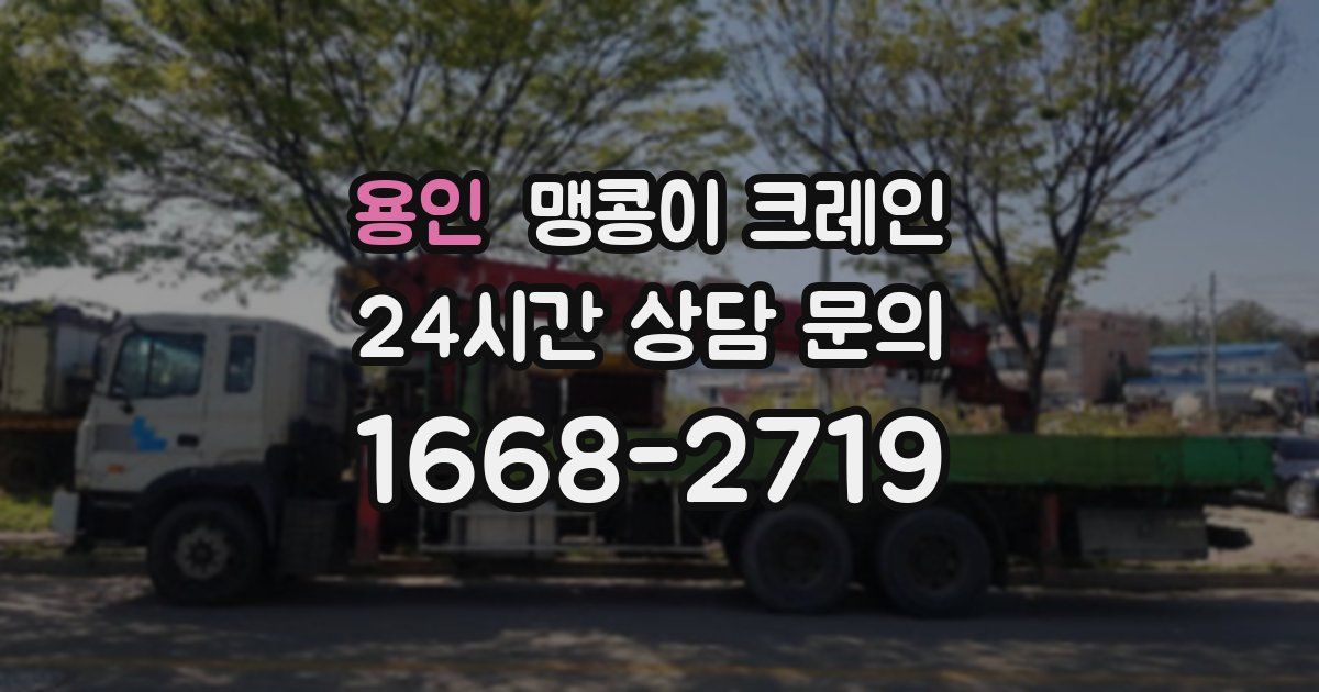 용인 맹콩이 크레인