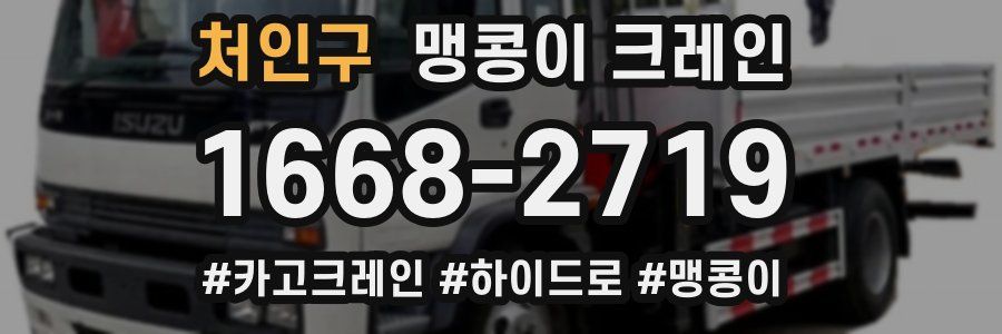 처인구 맹콩이 크레인