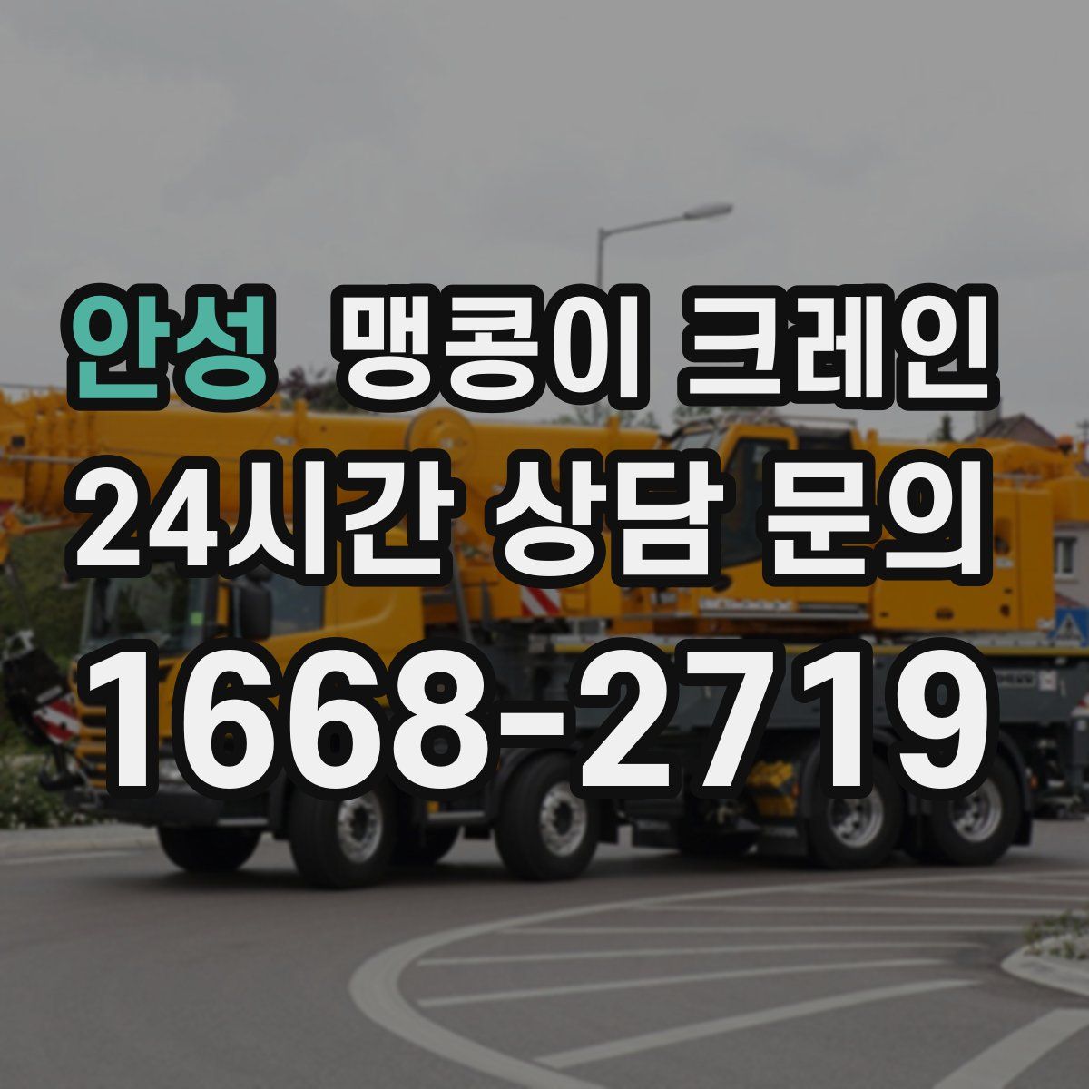 안성 맹콩이 크레인