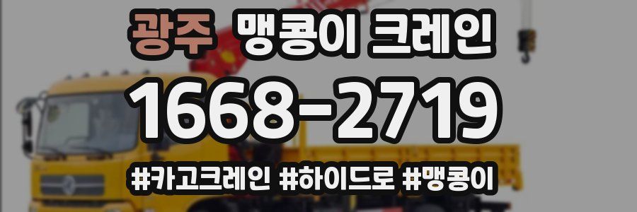 광주 맹콩이 크레인