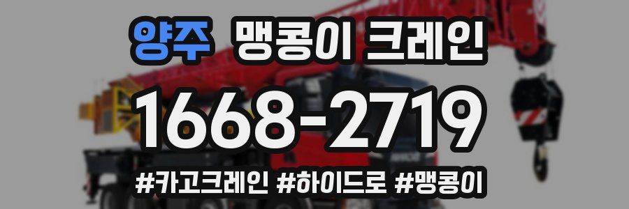 양주 맹콩이 크레인