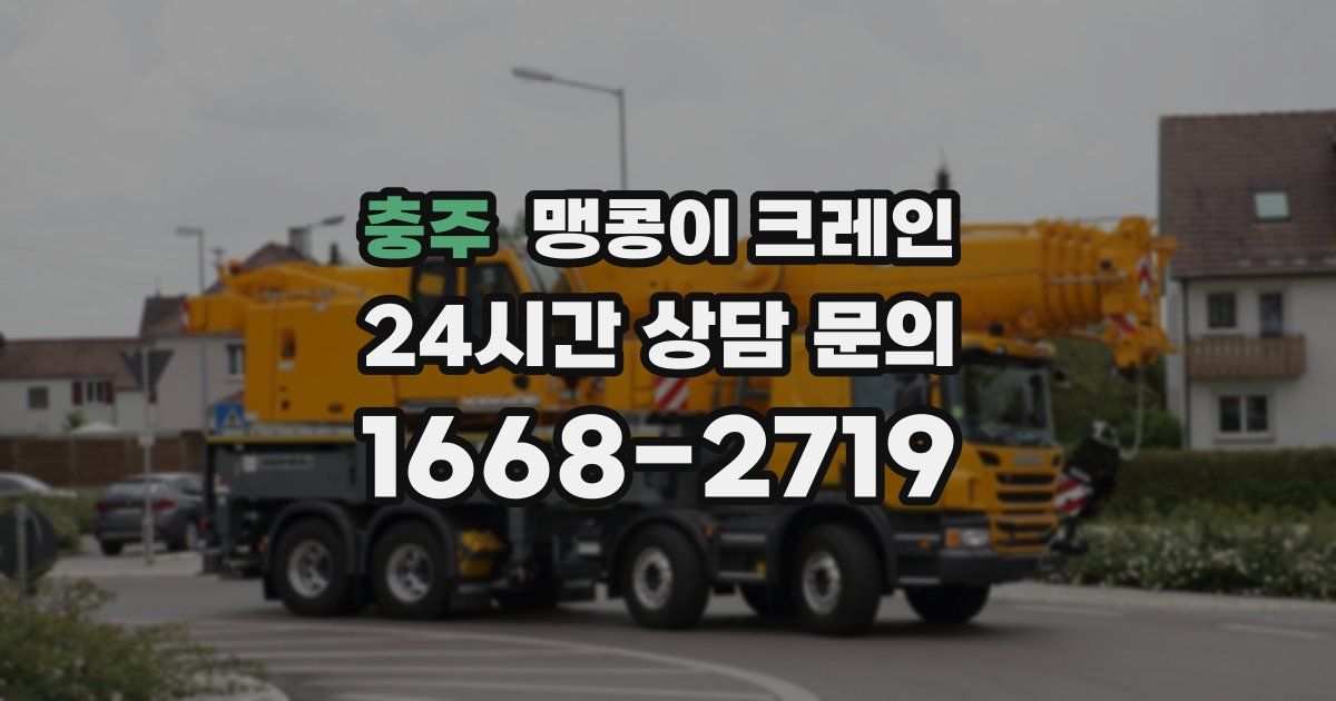 충주 맹콩이 크레인