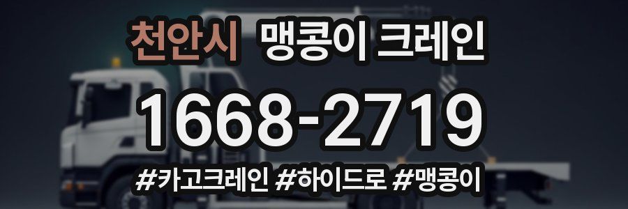 천안시 맹콩이 크레인