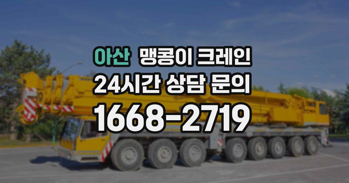 아산 맹콩이 크레인