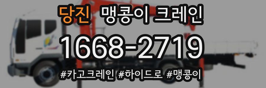 당진 맹콩이 크레인