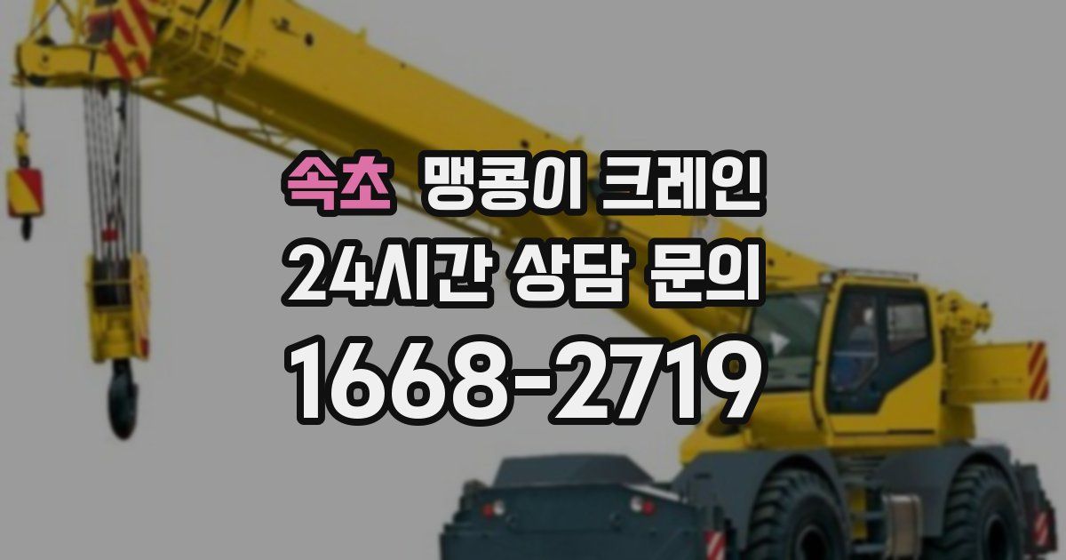 속초 맹콩이 크레인