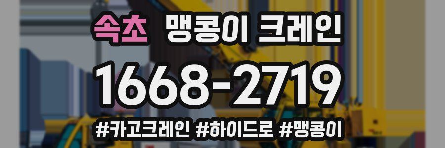 속초 맹콩이 크레인