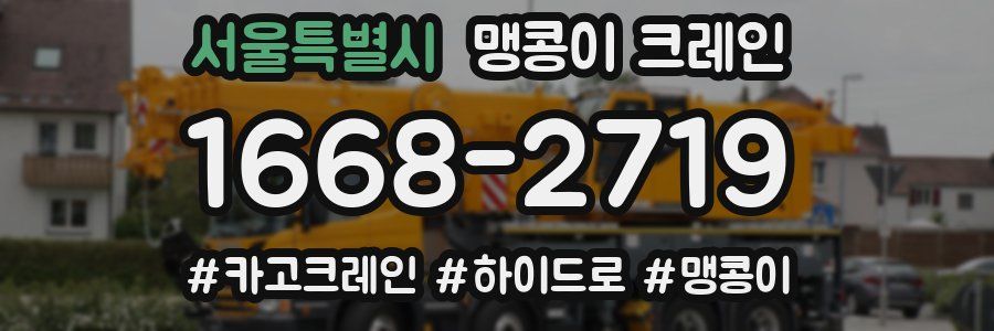 서울특별시 맹콩이 크레인