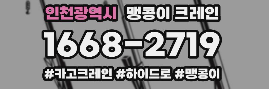 인천광역시 맹콩이 크레인