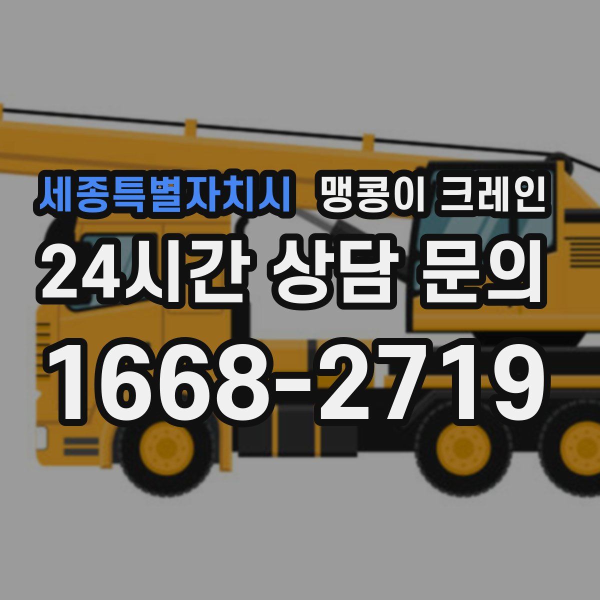 세종특별자치시 맹콩이 크레인