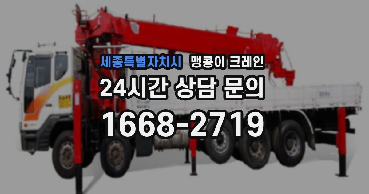 세종특별자치시 맹콩이 크레인