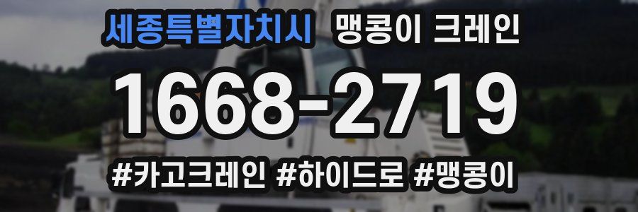 세종특별자치시 맹콩이 크레인