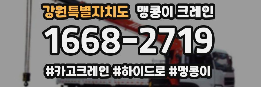 강원특별자치도 맹콩이 크레인