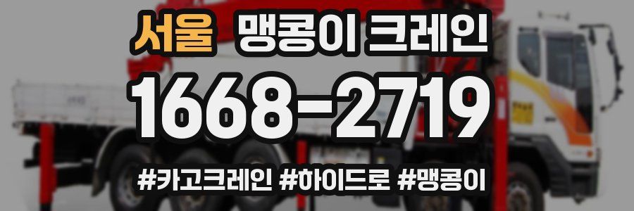 서울 맹콩이 크레인
