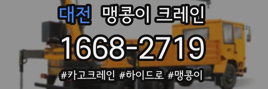 대전 맹콩이 크레인