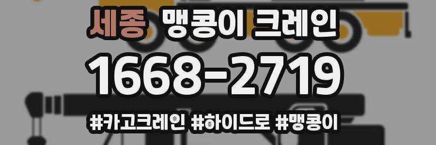 세종 맹콩이 크레인