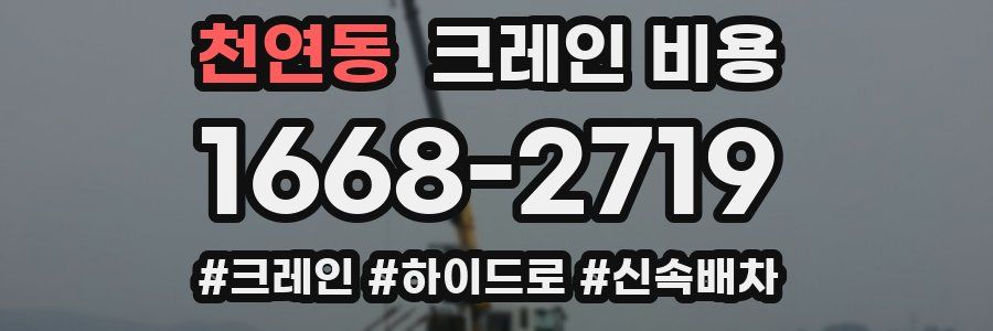 천연동 크레인 비용