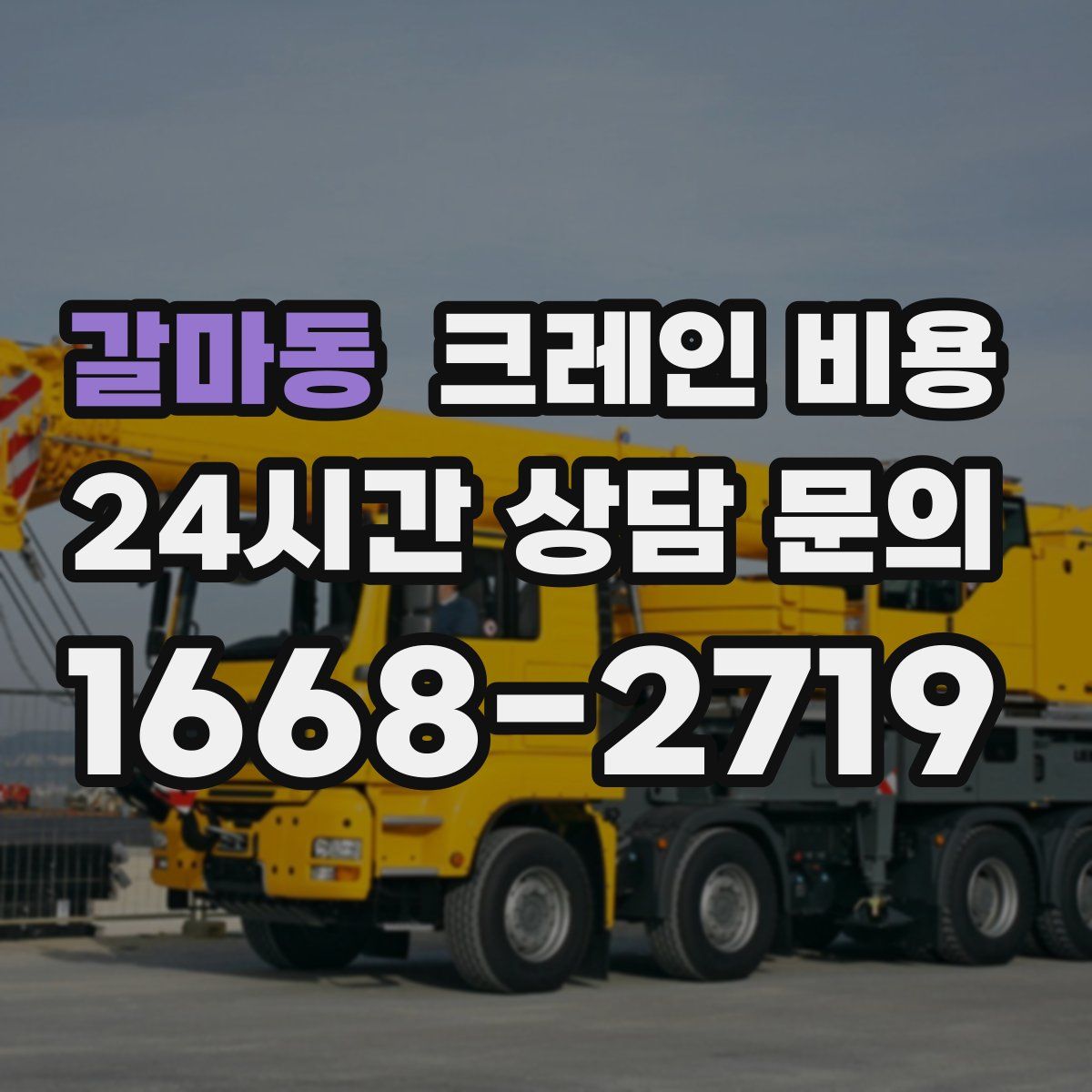 갈마동 크레인 비용