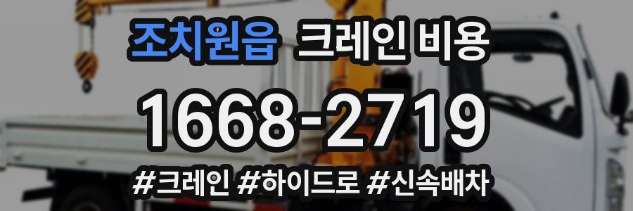 조치원읍 크레인 비용