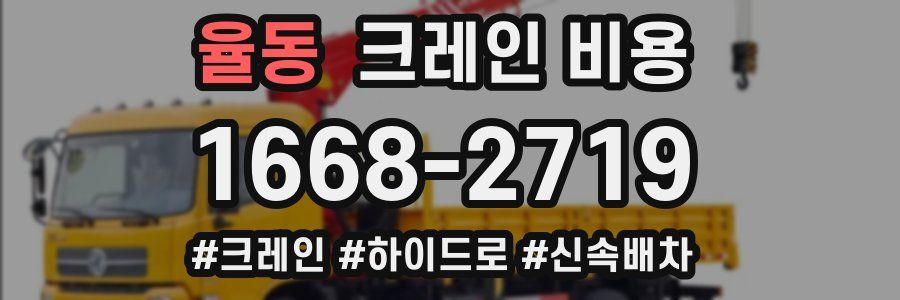 율동 크레인 비용