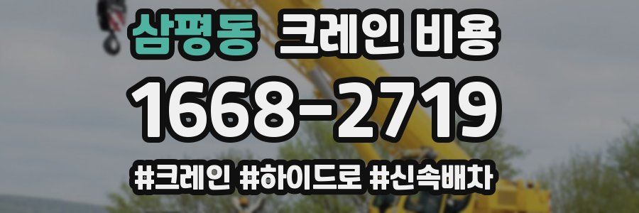 삼평동 크레인 비용
