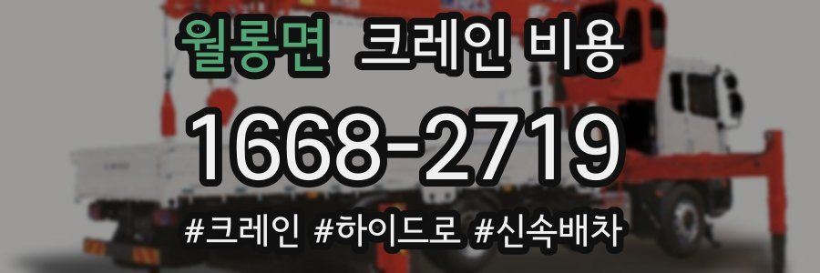 월롱면 크레인 비용