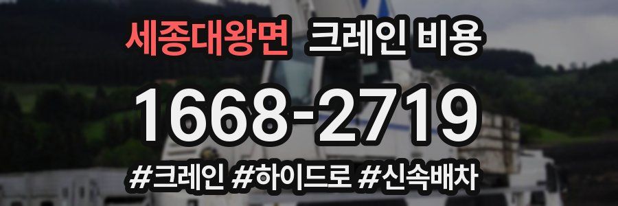 세종대왕면 크레인 비용