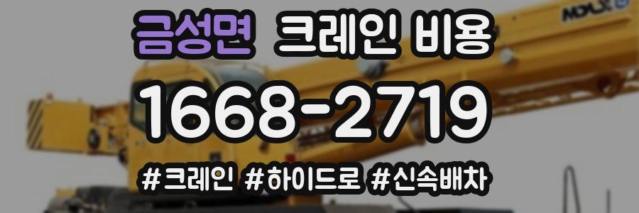 금성면 크레인 비용