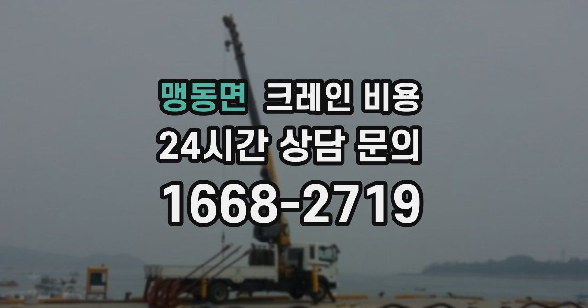맹동면 크레인 비용