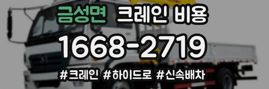 금성면 크레인 비용