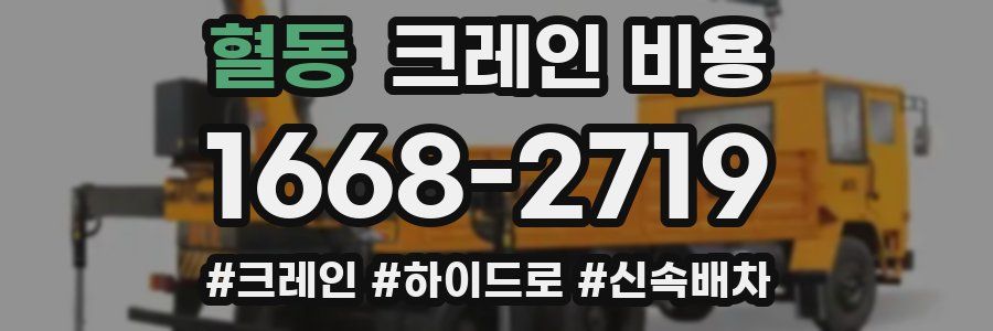 혈동 크레인 비용