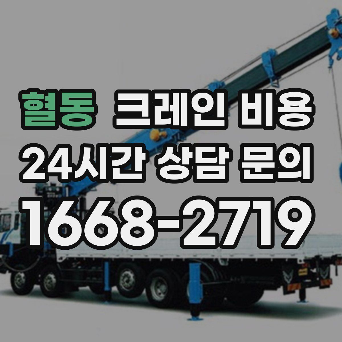 혈동 크레인 비용