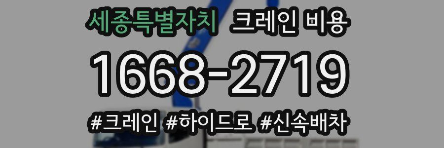 세종특별자치 크레인 비용
